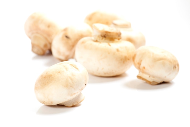 Mushrooms over white background