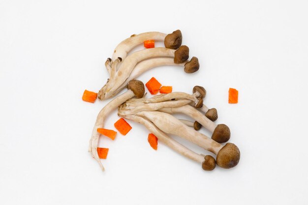 Photo mushrooms with carrots and mushrooms on a white background