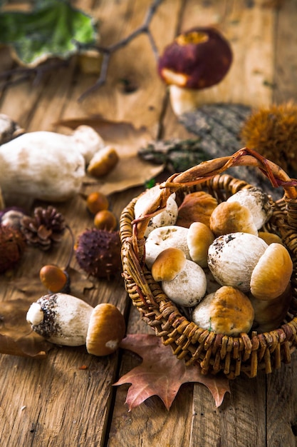 Mushrooms on wood