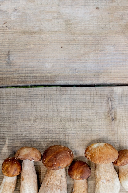 Mushrooms on wooden rustic table