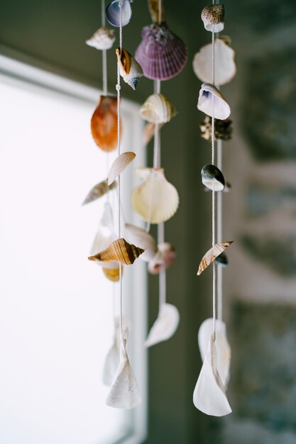 Foto decorazione di conchiglie di vento musicale all'interno dell'appartamento in tema mare di conchiglie