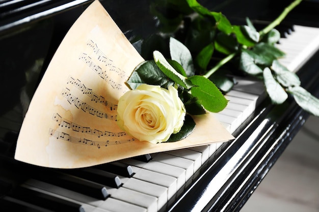 Musical notes and white rose on piano keys close up