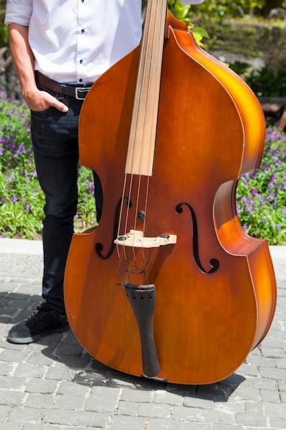 Musician next to his Double bass