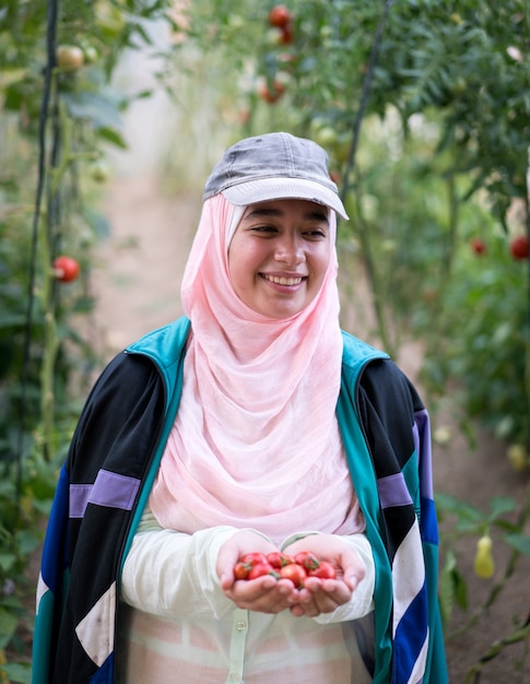 Muslim girl working in a greenhouse with tomatoes harvesting