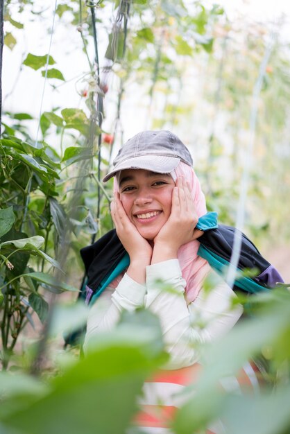 Muslim girl working in a greenhouse with tomatoes harvesting