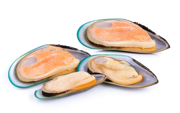 Mussel isolated