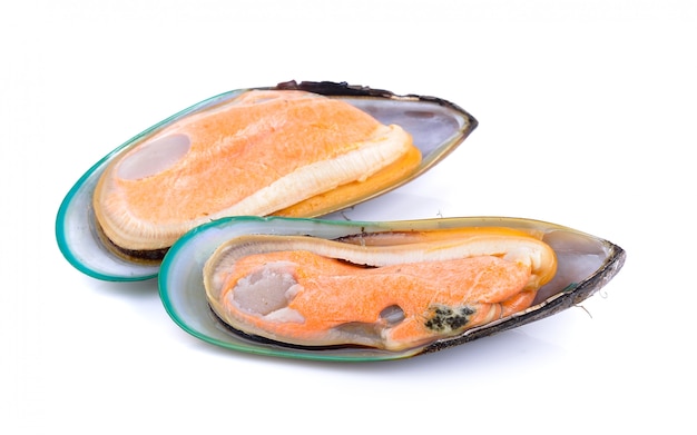 Mussel isolated