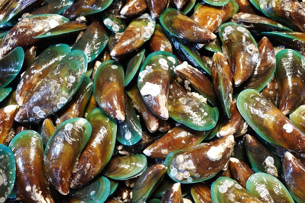 Foto i molluschi sullo sfondo del mercato