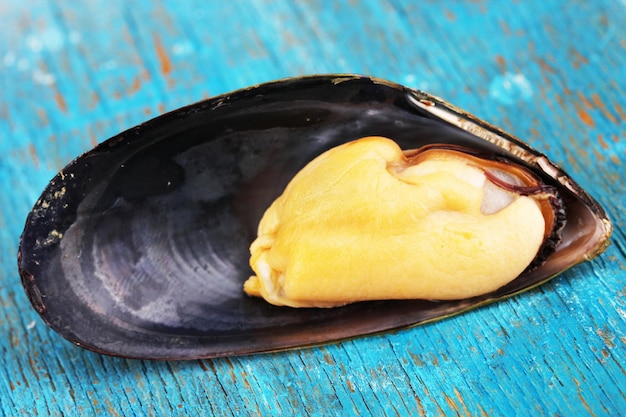 Mussel in shell on blue wooden table