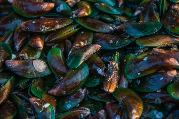 Mussels are sold on the market in Thailand.