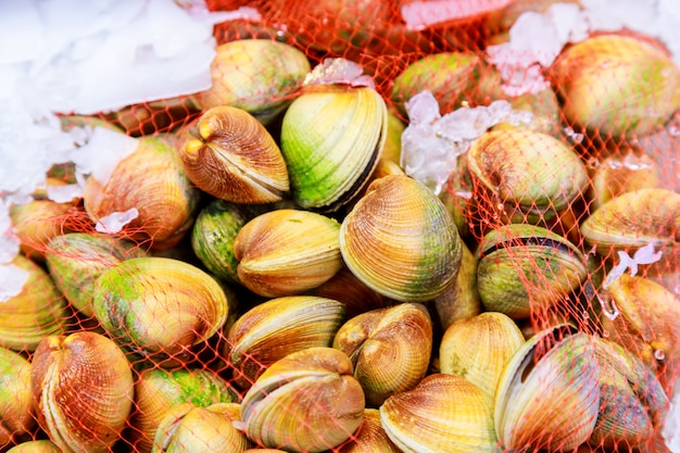 Mussels background - fresh seafood at market