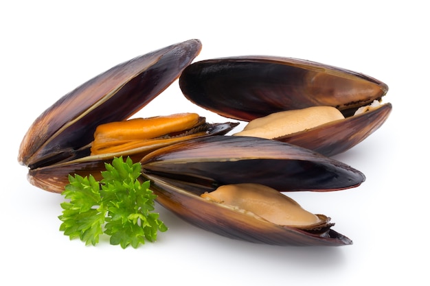 Mussels isolated on white background. Sea food.