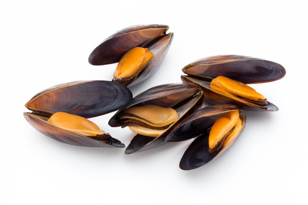 Mussels isolated on white background. Sea food.