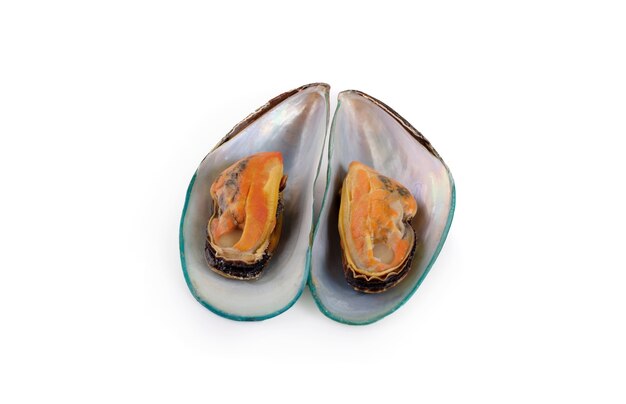 Cozze isolate su sfondo bianco