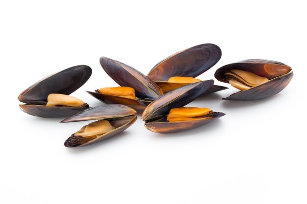 Mussels isolated on white. Sea food.