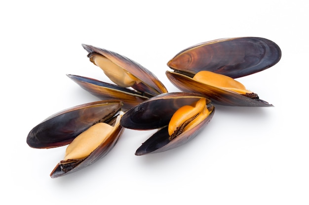 Mussels isolated on white. Sea food.