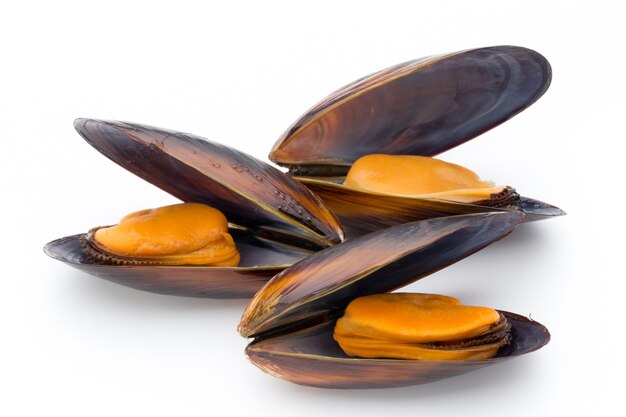 Mussels isolated on white. Sea food.