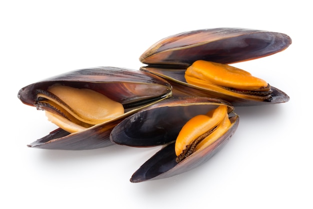 Mussels isolated on white. Sea food.