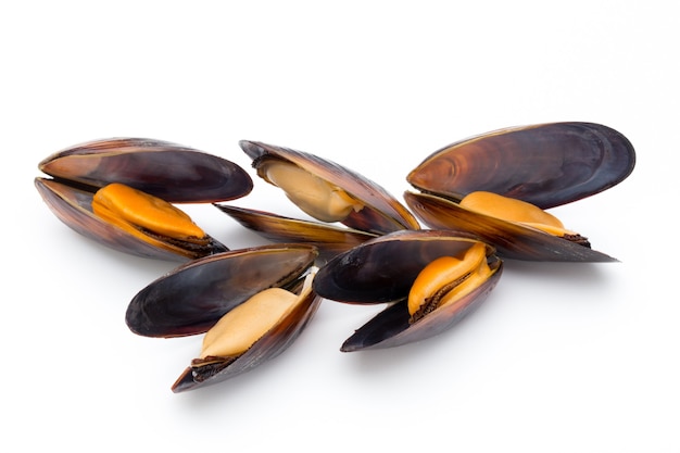 Mussels isolated on white