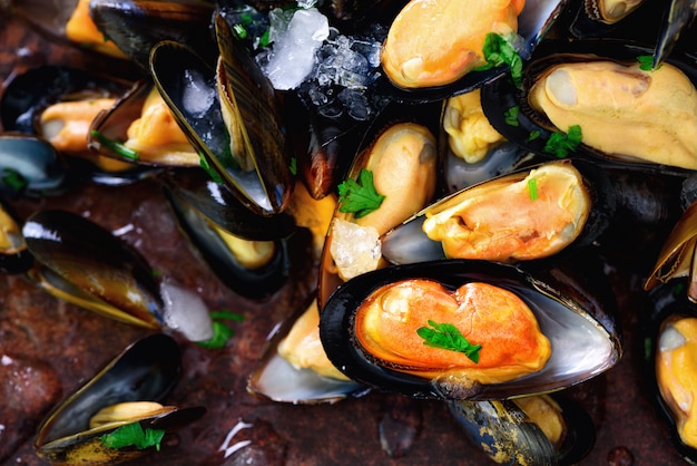 Mussels, molluscs, seaweed, sea plants, ice on old vintage rustic metal. Top view, 