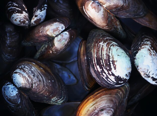 Mussels in an old pan on a wooden table outdoors