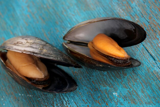 Mussels in shell on blue wooden table