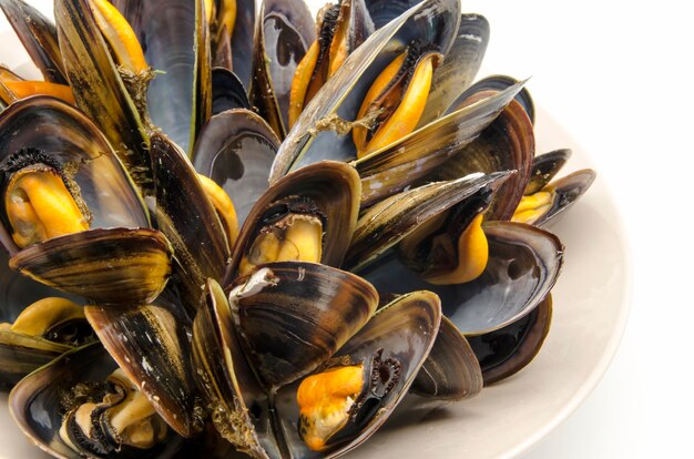 Mussels in the shell