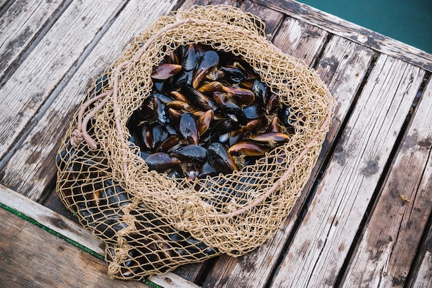 Mussels in shells lie in a fishing net on a pier