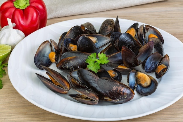 Mussels