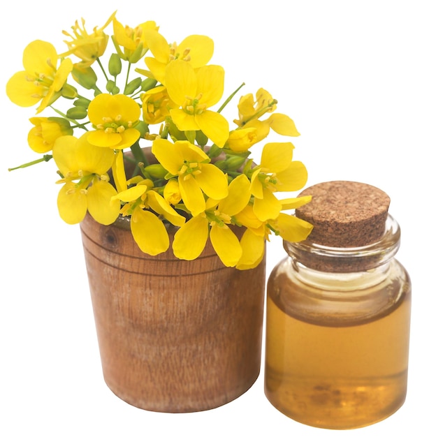 Mustard flowers with oil