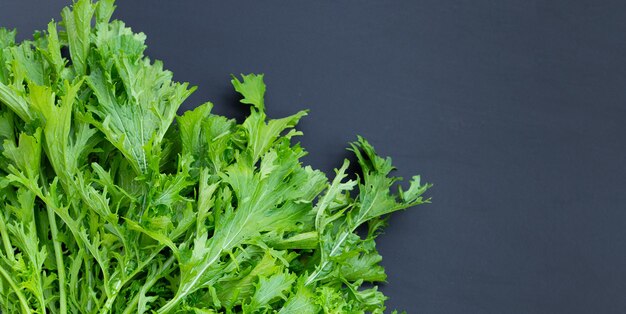 Mustard Green on dark background. Copy space