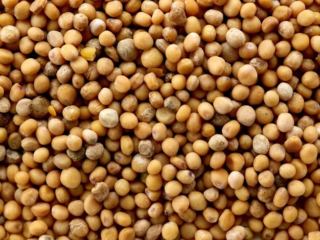 Mustard seed background, top view