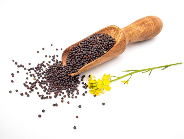 Mustard seeds and mustard flower in wooden spoon on white background