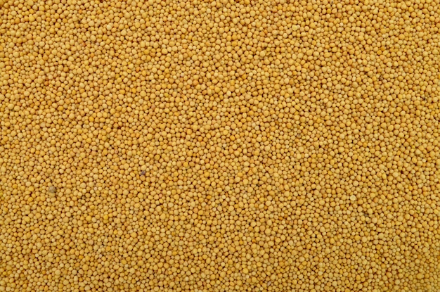 mustard seeds texture