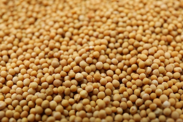 Mustard seeds on whole background, close up