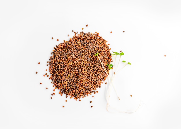 Photo mustard seeds with organic microgreens sprouts isolated on white background