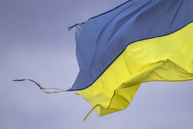 훼손된 우크라이나 국기. 강도 테스트. 용감한 우크라이나. 우크라이나 전쟁. 러시아는 테러리스트다.