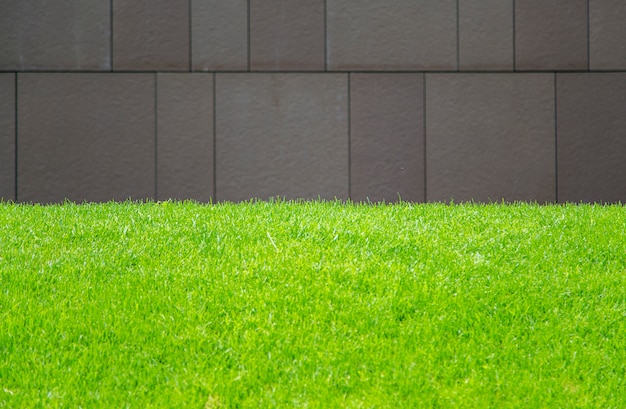 Muur en het gras