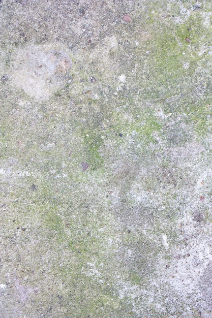 Foto muur van grijze oude betonnen muur met schimmel en mos. oude steen textuur