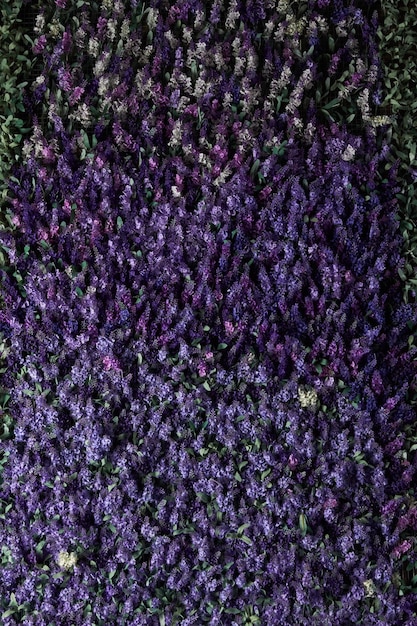Muur van lavendelbloemen, kunstbloemen, volumetrisch licht, algemene weergaven, live achtergrond, goede textuur