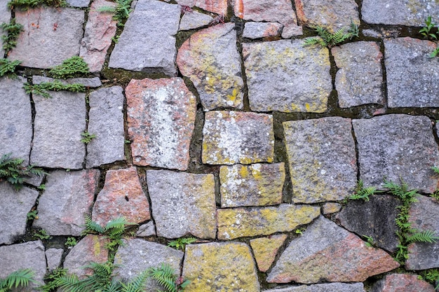Muur van stenen gedeeltelijk bedekt met geel en rood mos en groene planten ertussen
