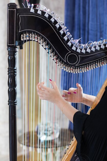 Muzikant speelt harp