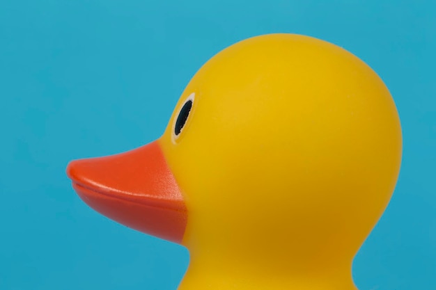 Muzzle of a yellow rubber duck in profile on a blue background