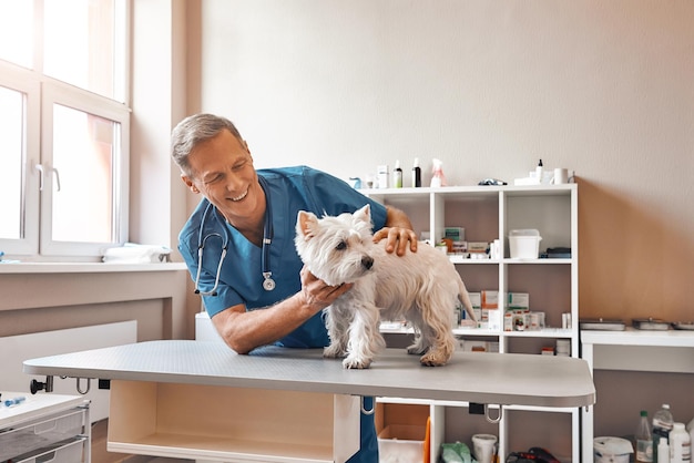 My cute patient cheerful middle aged vet looking with smile at small dog standing on