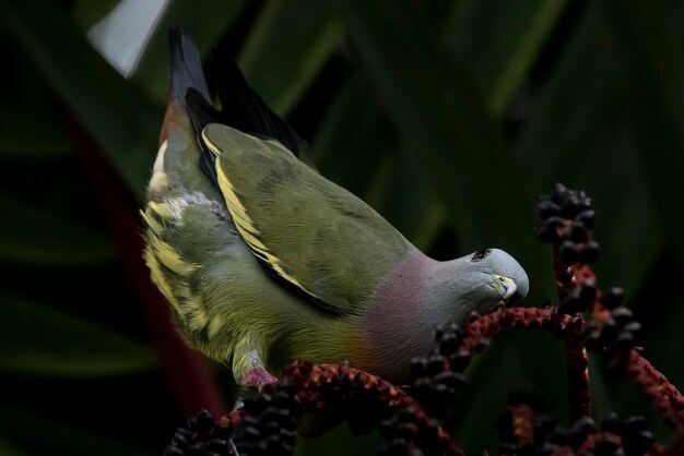 Photo my favourite place is anywhere i can look up at birds