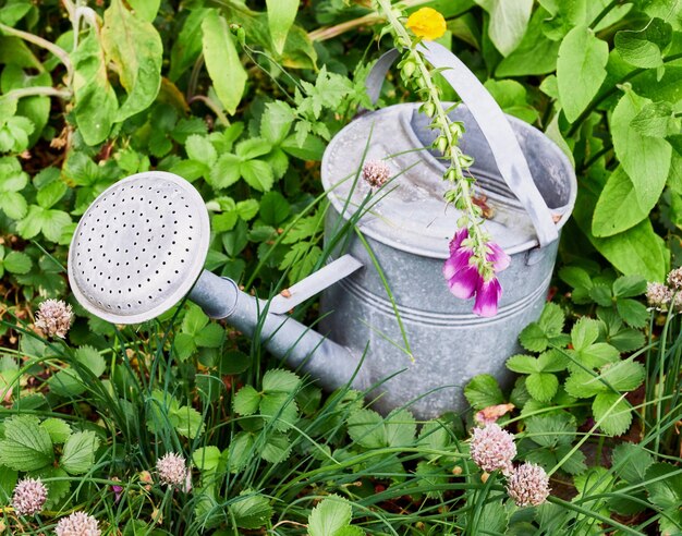 私の庭草の植物と花のある庭の風景の景色を望む屋外の灰色のじょうろ花のある自然の外の園芸工具のクローズアップ春の緑の自然の背景