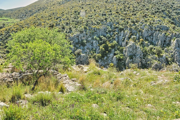 Mycene in Peloponnesos, GriekenlandArgolis