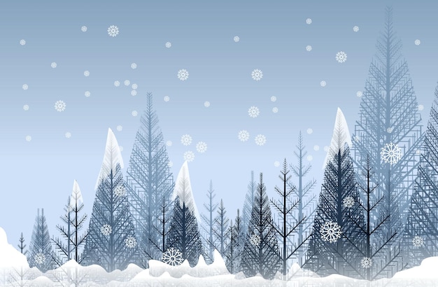 Mysterieus winterbos