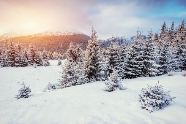 Mysterieus winterlandschap met mist, majestueuze bergen