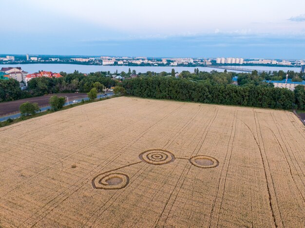 Foto misteriosi segni mistici in mezzo al campo